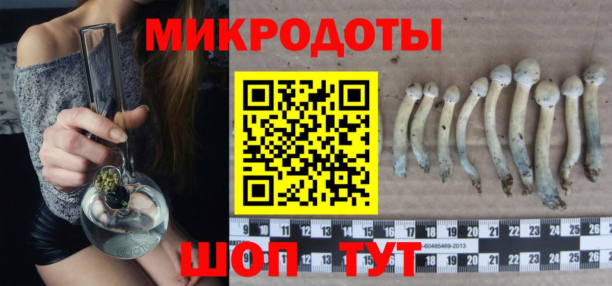 Моздок  Псилоцибиновые грибы GOLDEN TEACHER  Псилоцибиновые грибы мухоморы  Вход с VPN 