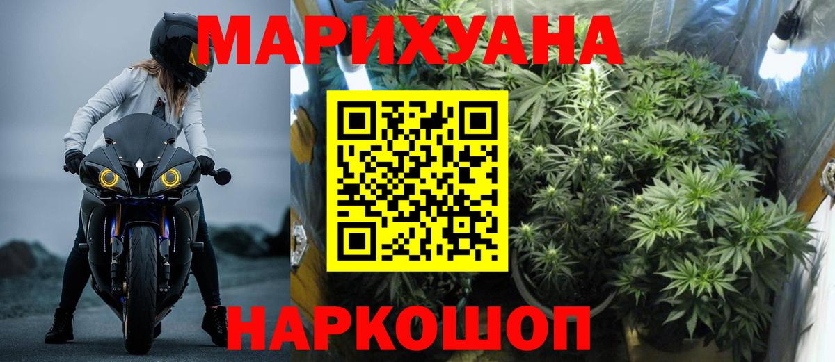 Каннабис индика Моздок